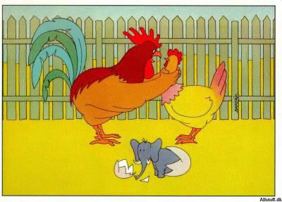 chof bache madeb9achi ka3i